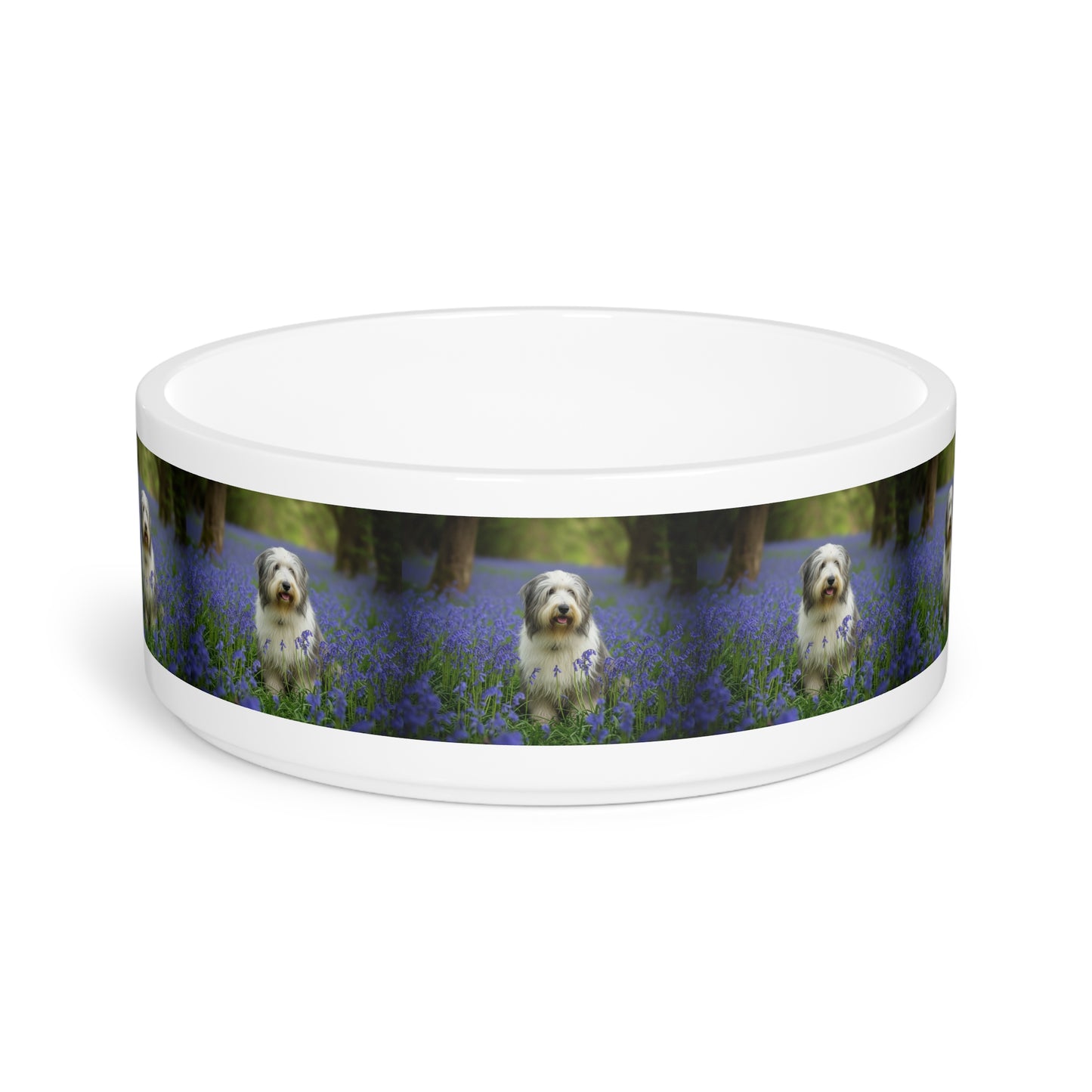Bearded Collie Pet Bowl