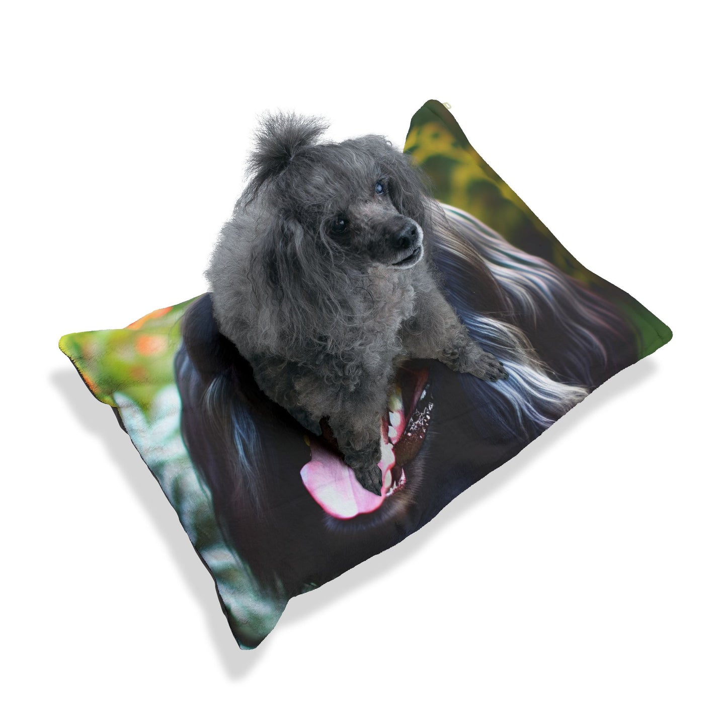 Blue Picardy Spaniel Pet Bed