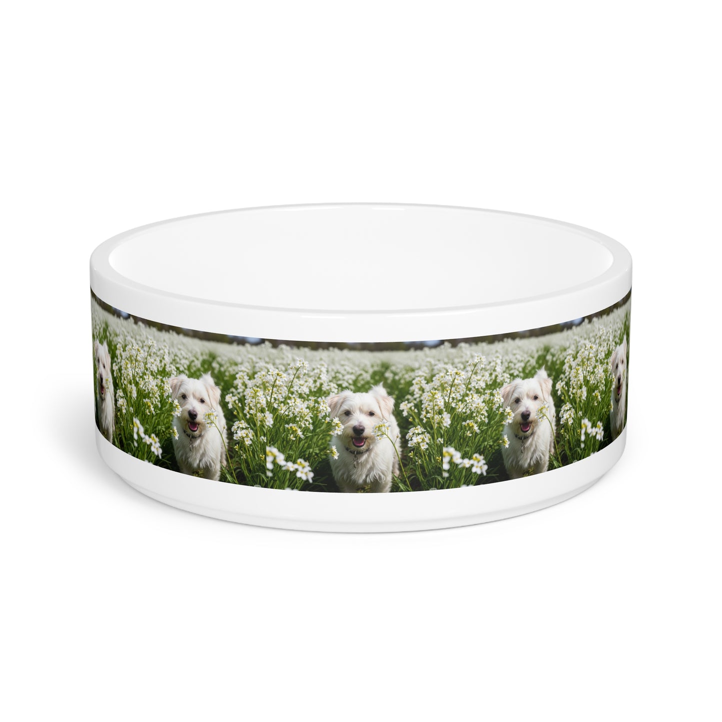 Kromfohrlander Pet Bowl