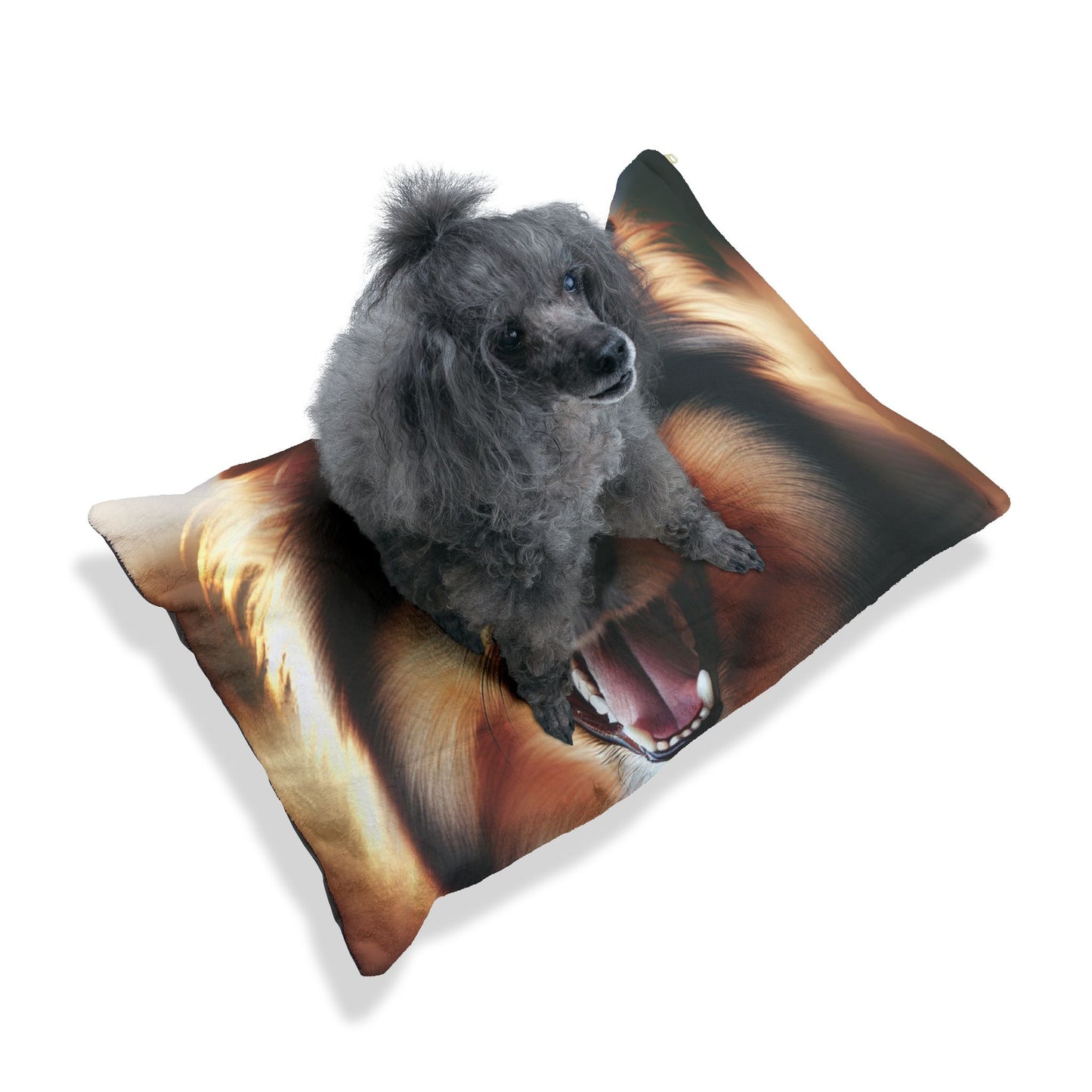 Collie Pet Bed