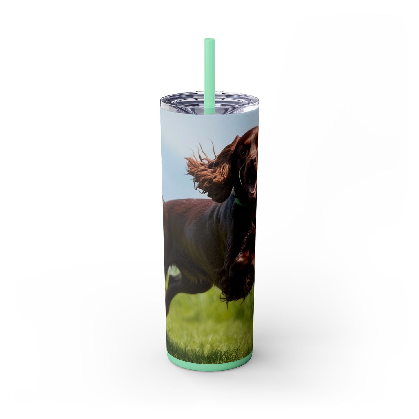 Irish Water Spaniel Tumbler with Straw, 20oz
