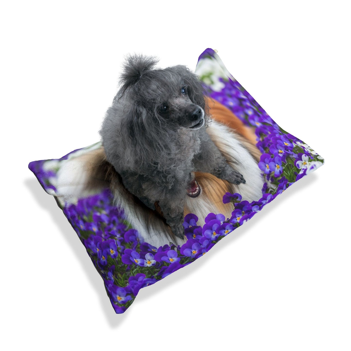 Collie Pet Bed
