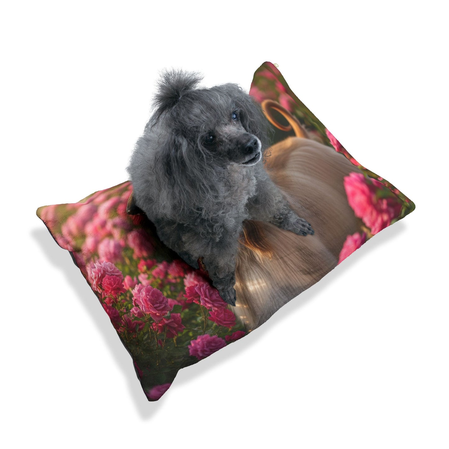 Afghan Hound Pet Bed