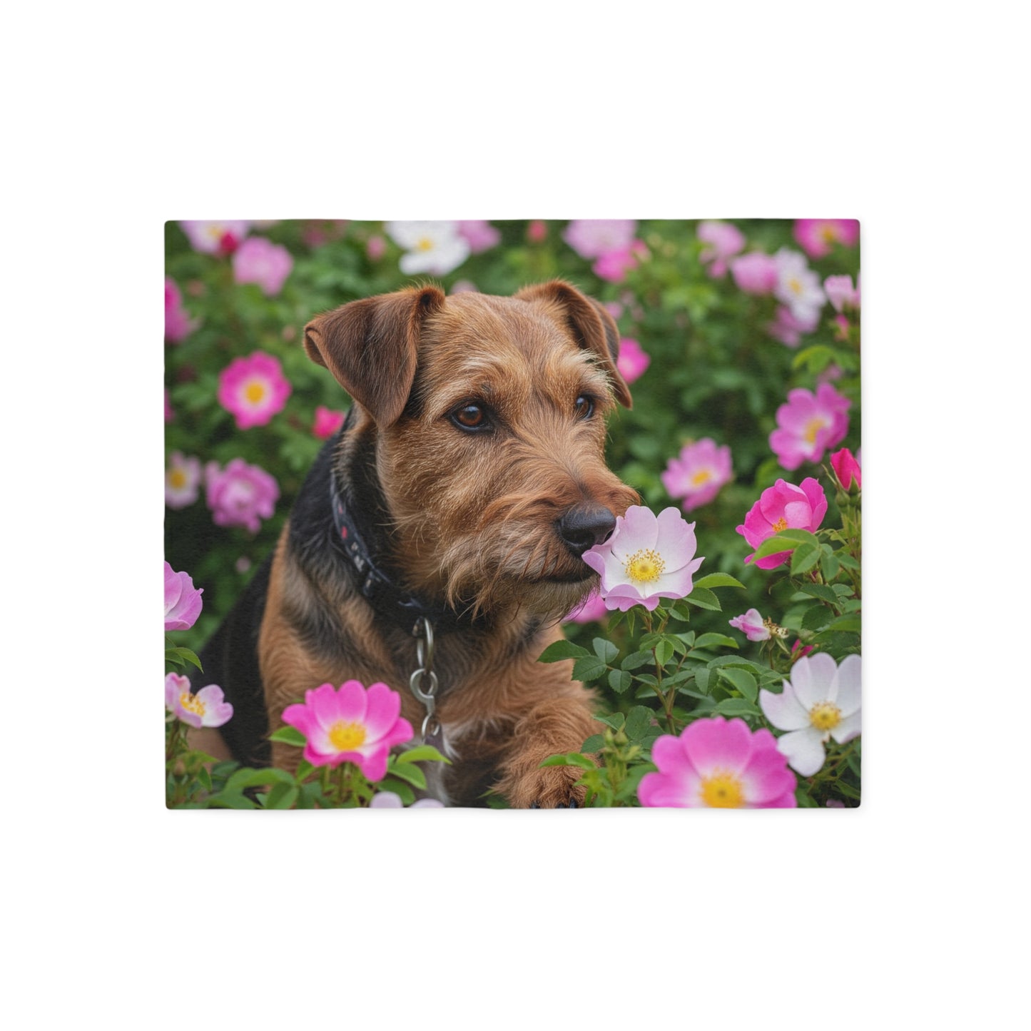 Teddy Roosevelt Terrier Sweatshirt Blanket