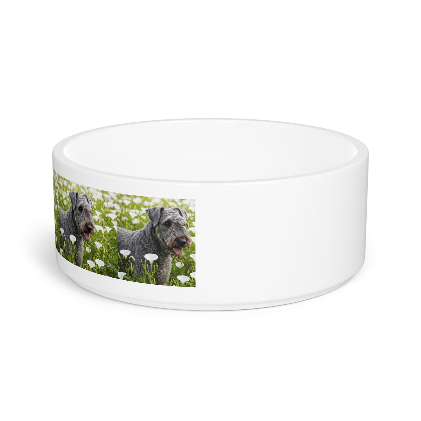 Kerry Blue Terrier Pet Bowl