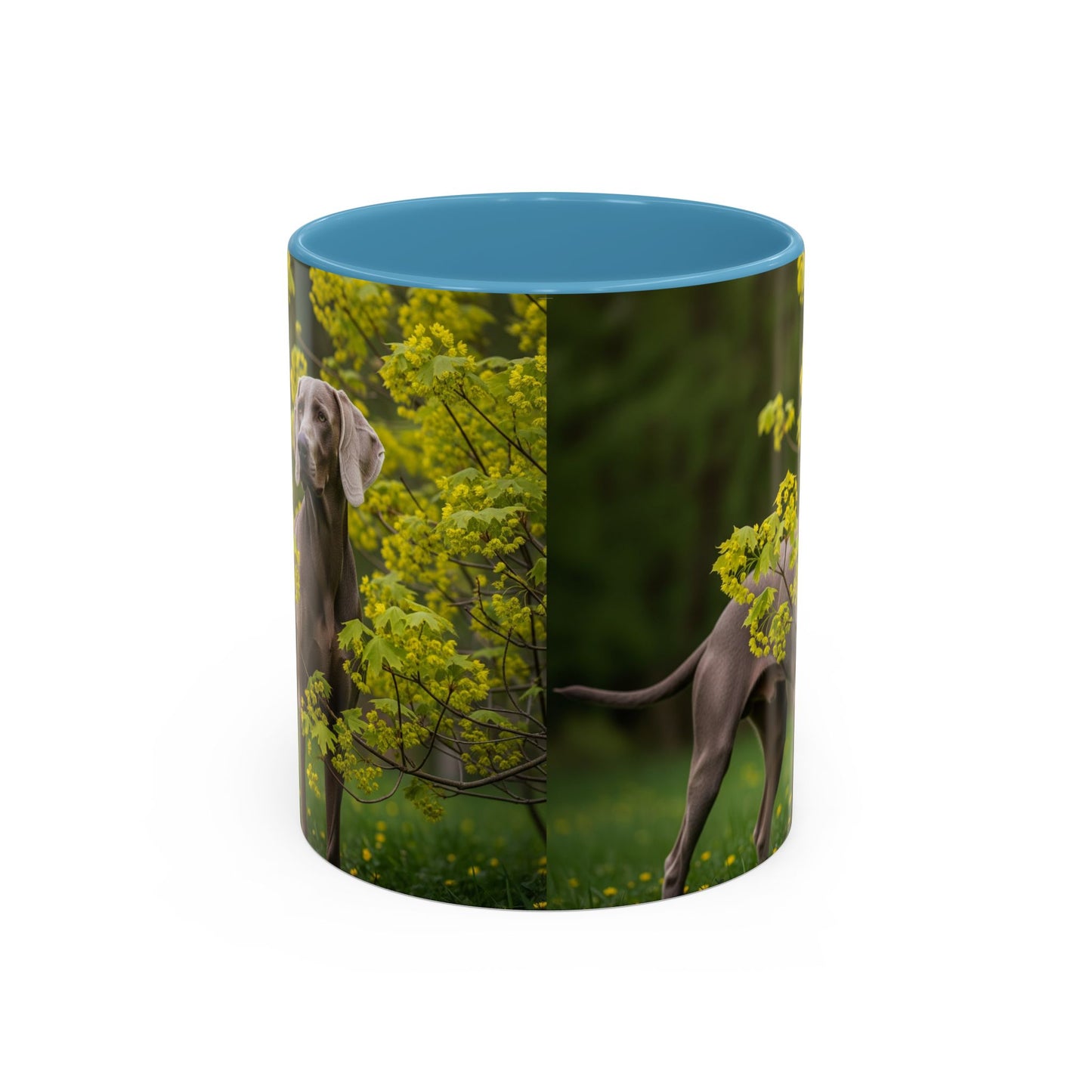 Weimaraner Accent Coffee Mug - Perfect Gift for Dog Lovers