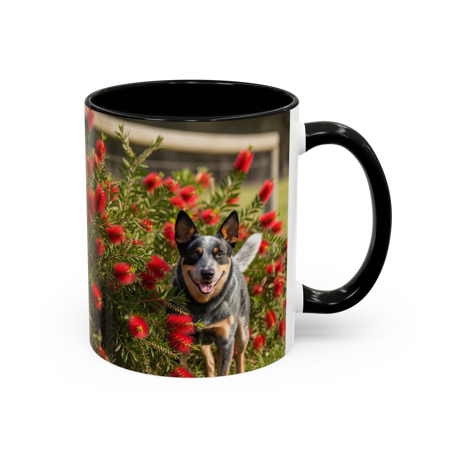 Australian Cattle Dog Accent Coffee Mug - Perfect Gift for Dog Lovers