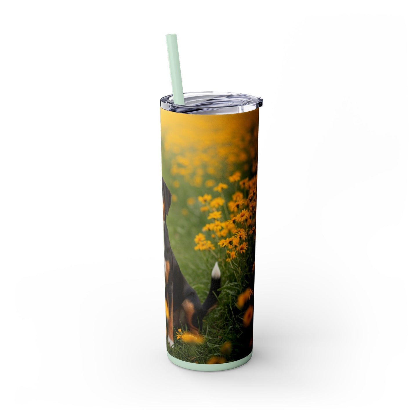 Entlebucher Mountain Dog Skinny Tumbler with Straw, 20oz