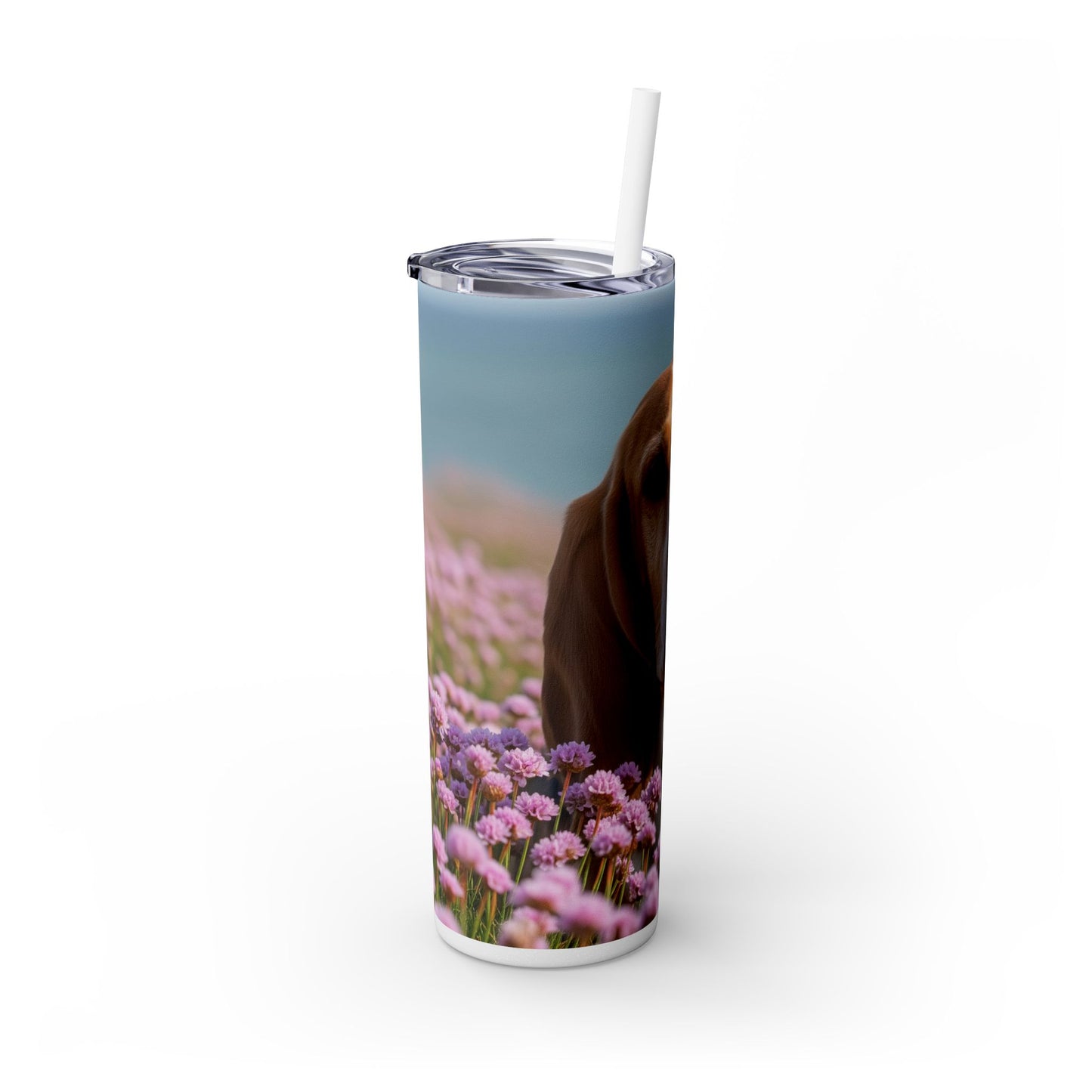 Basset Fauve de Bretagne Skinny Tumbler with Straw, 20oz