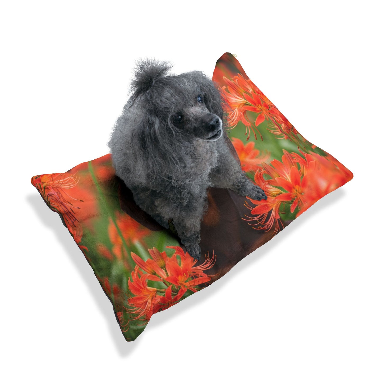 Dachshund Pet Bed