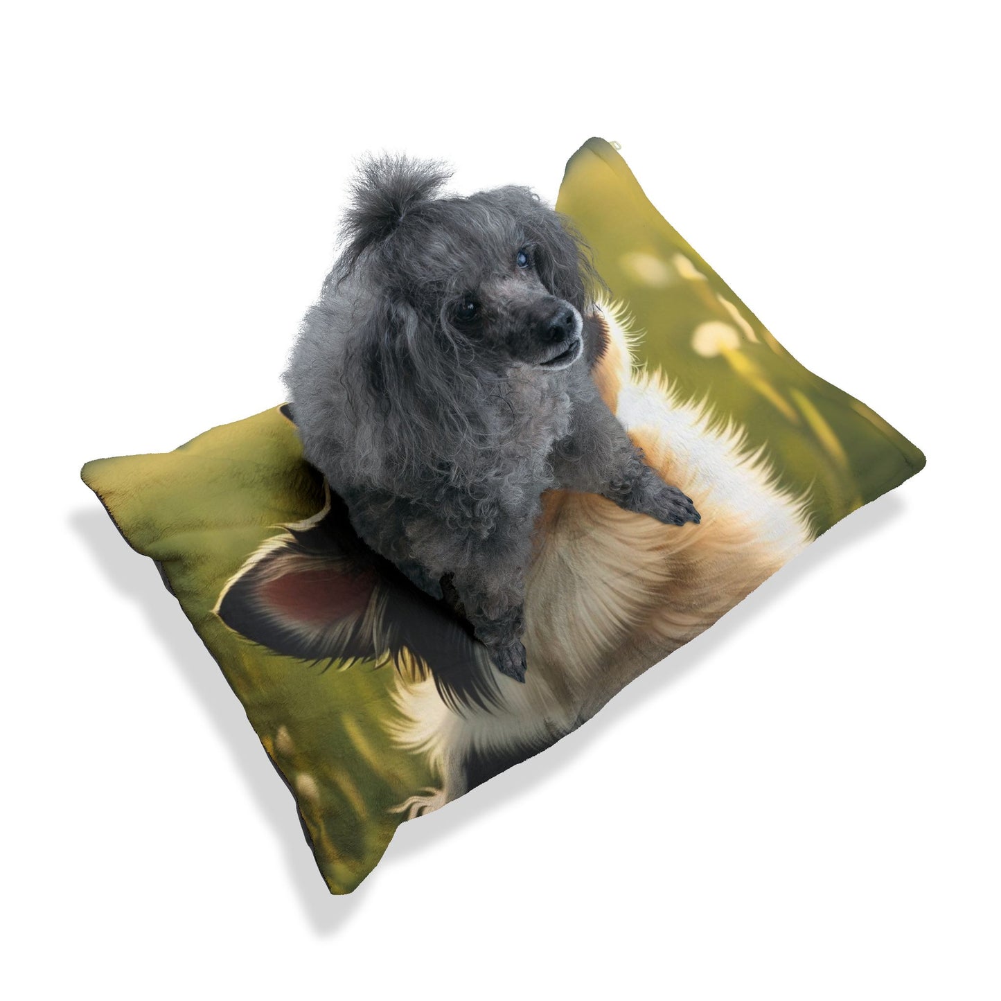 Swedish Vallhund Pet Bed