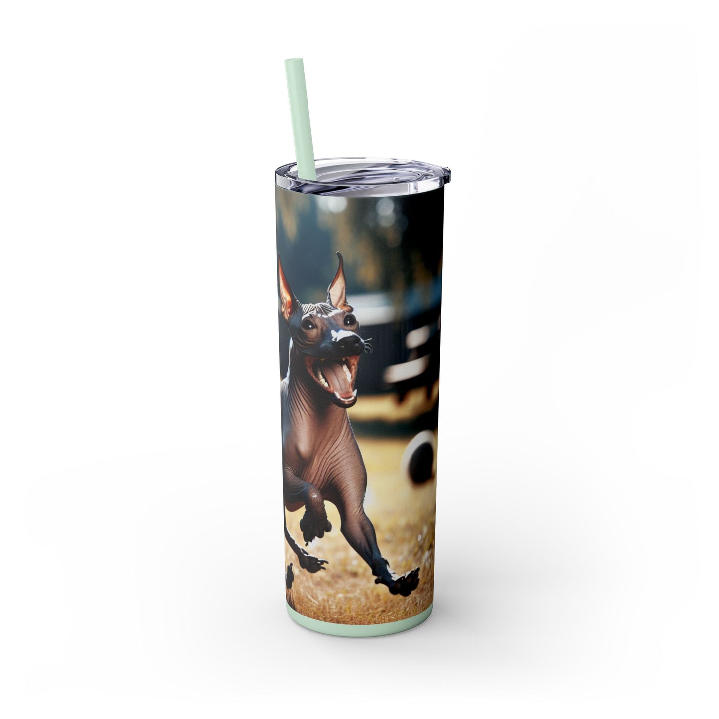 American Hairless Terrier Tumbler with Straw, 20oz