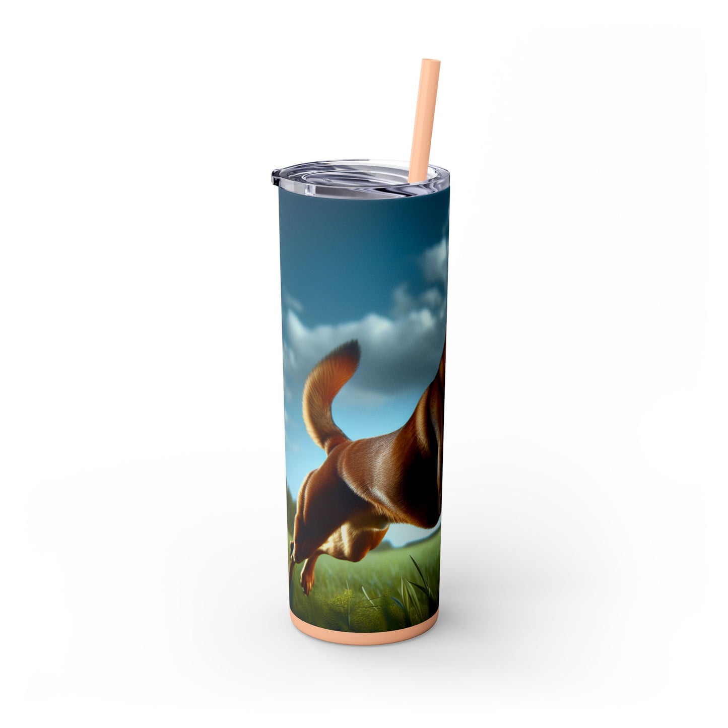 Kanni Tumbler with Straw, 20oz