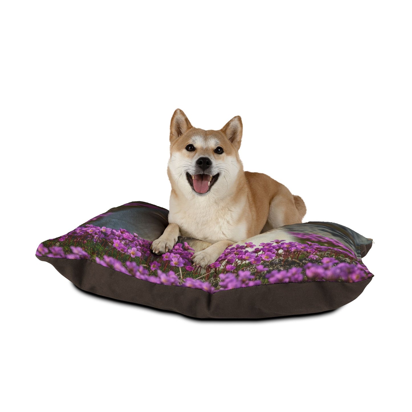 Lit pour chien esquimau canadien
