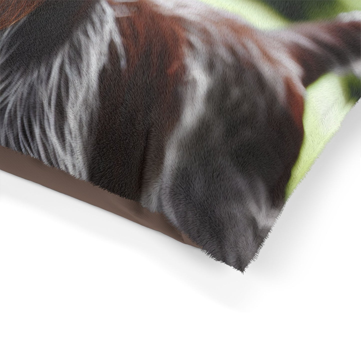 Wirehaired Slovakian Pointer Pet Bed