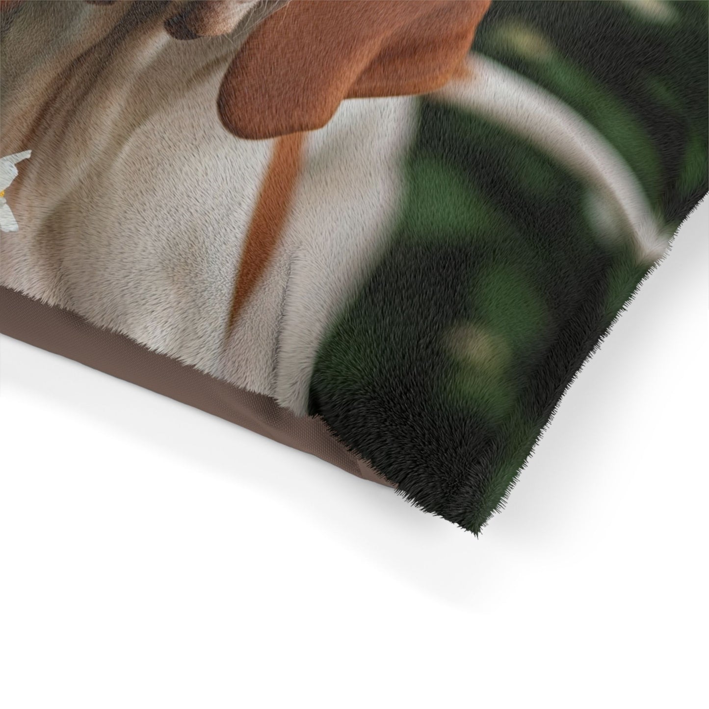 Bracco Italiano Pet Bed