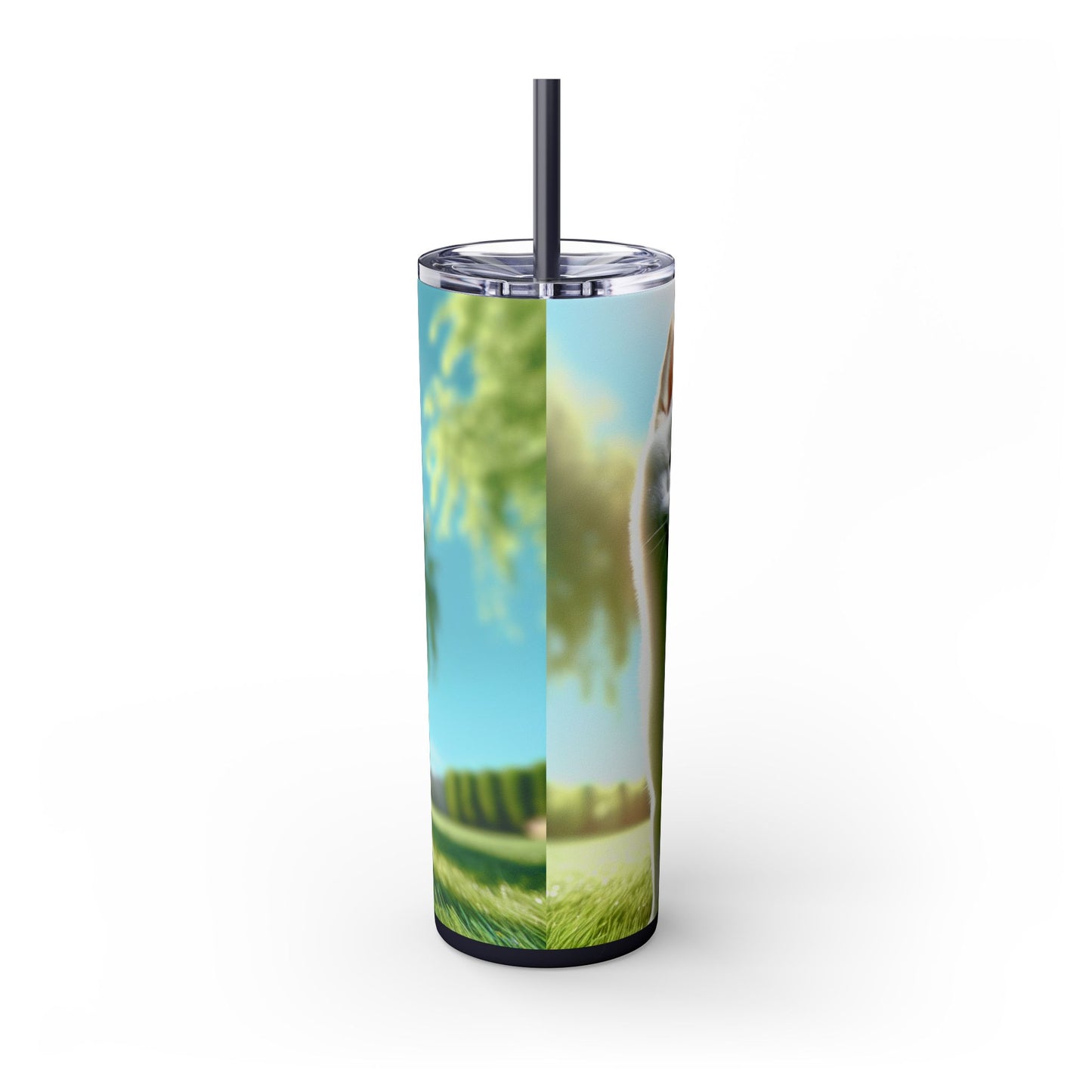 Kishu Ken Tumbler with Straw, 20oz