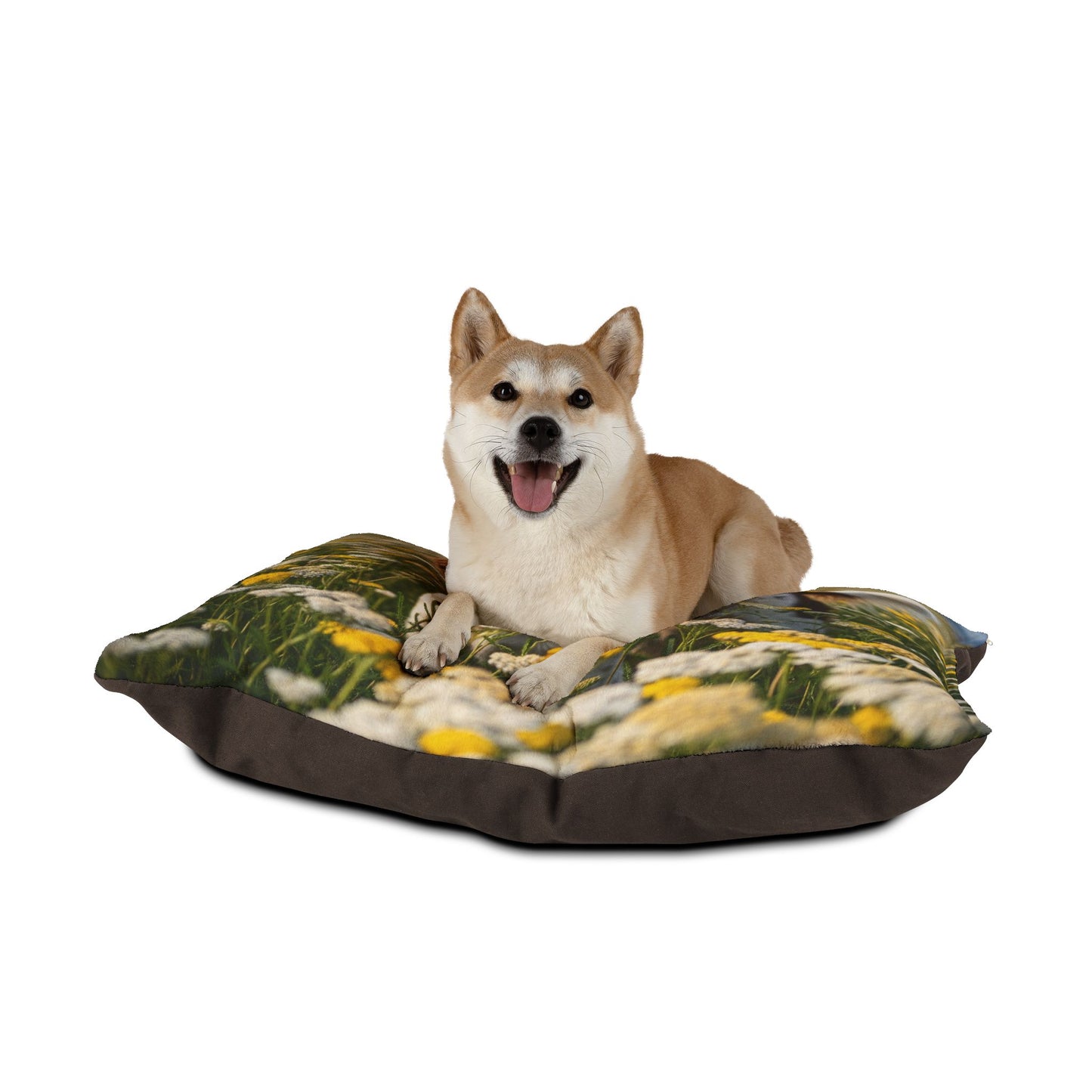 Drentsche Patrijshond Pet Bed
