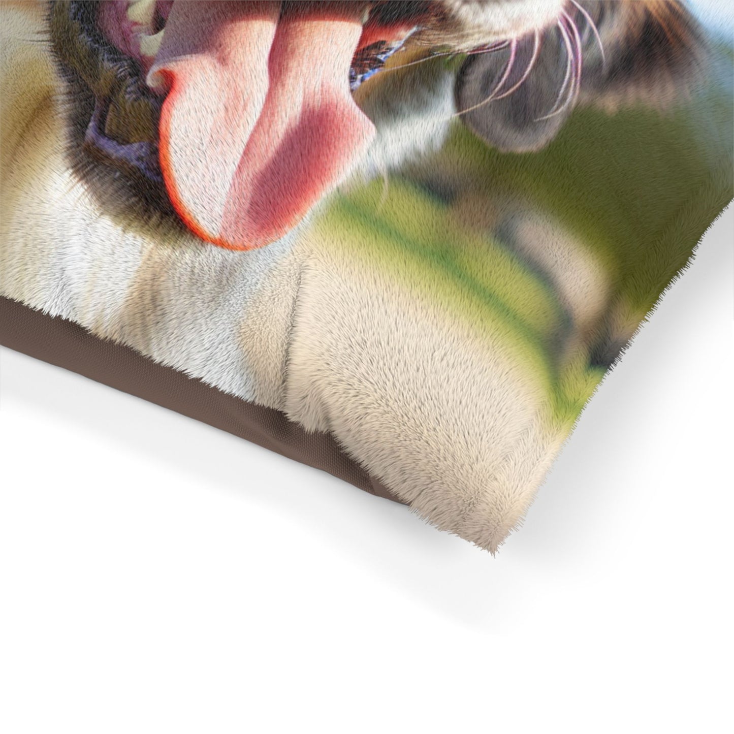 Braque Francais Pyrenean Pet Bed