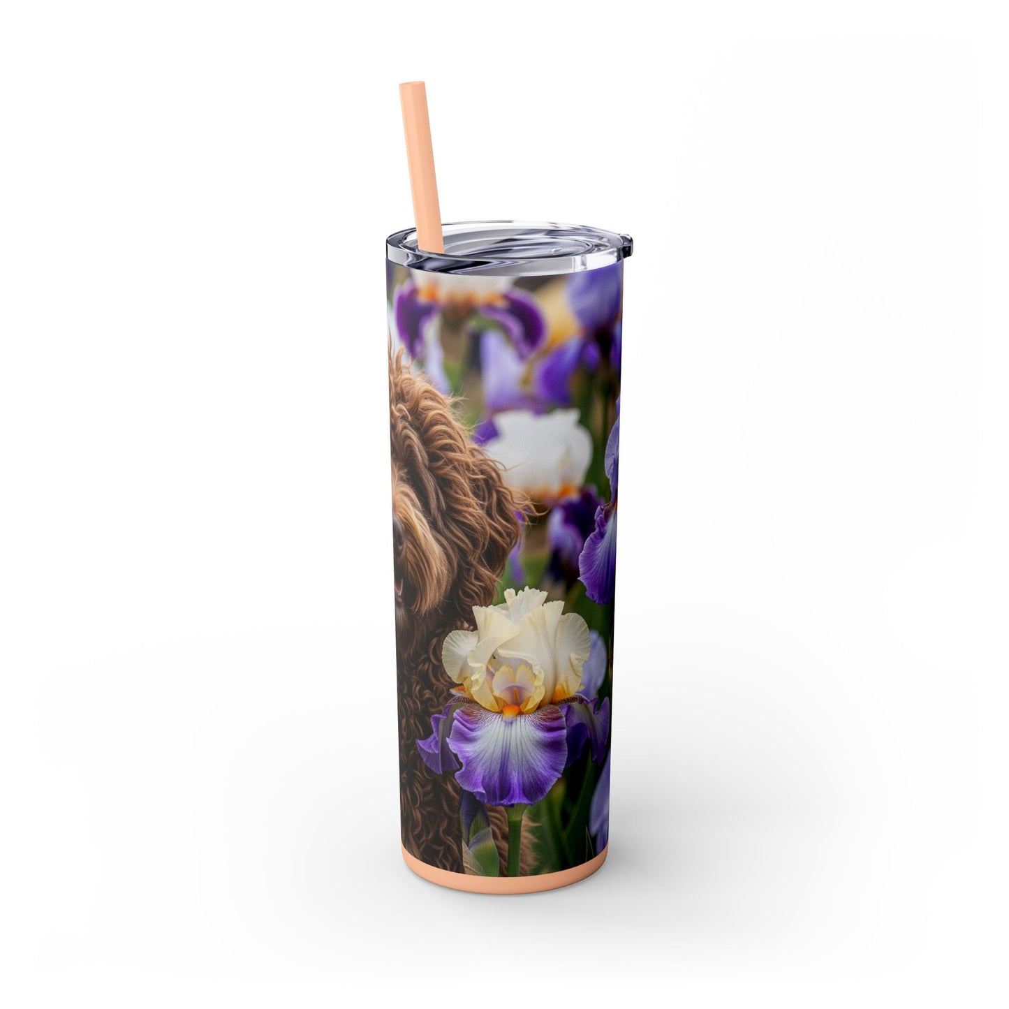 Barbet Skinny Tumbler with Straw, 20oz