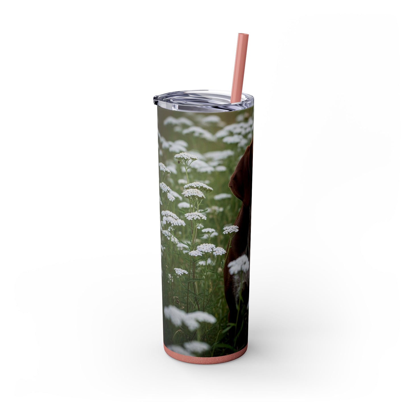 Braque du Bourbonnais Tumbler with Straw, 20oz