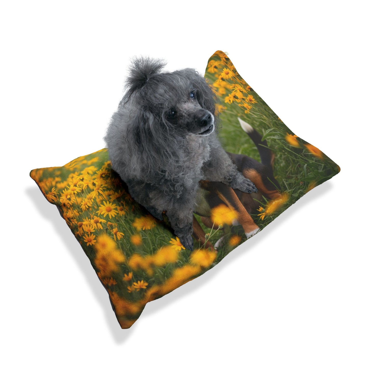 Entlebucher Mountain Dog Pet Bed