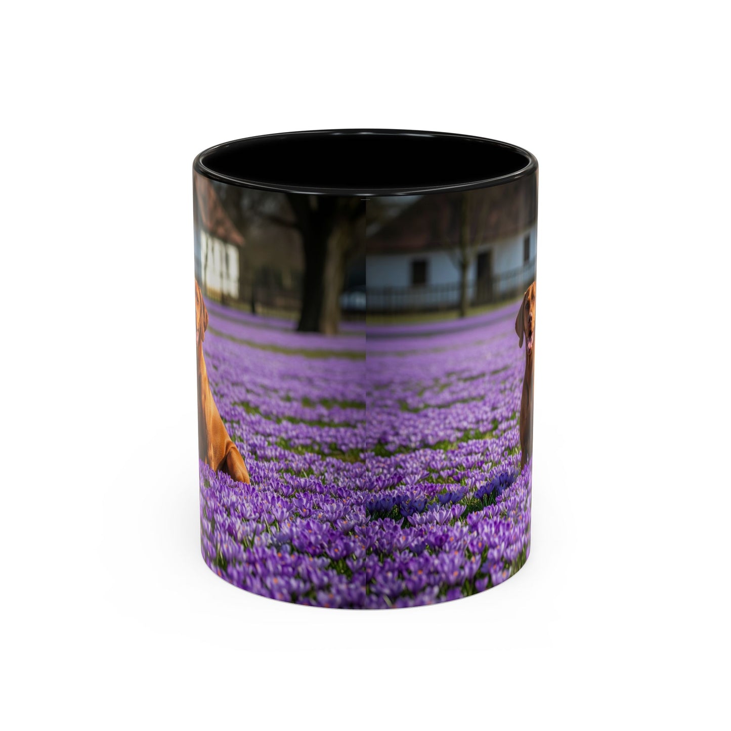 Vizsla Accent Coffee Mug - Perfect Gift for Dog Lovers