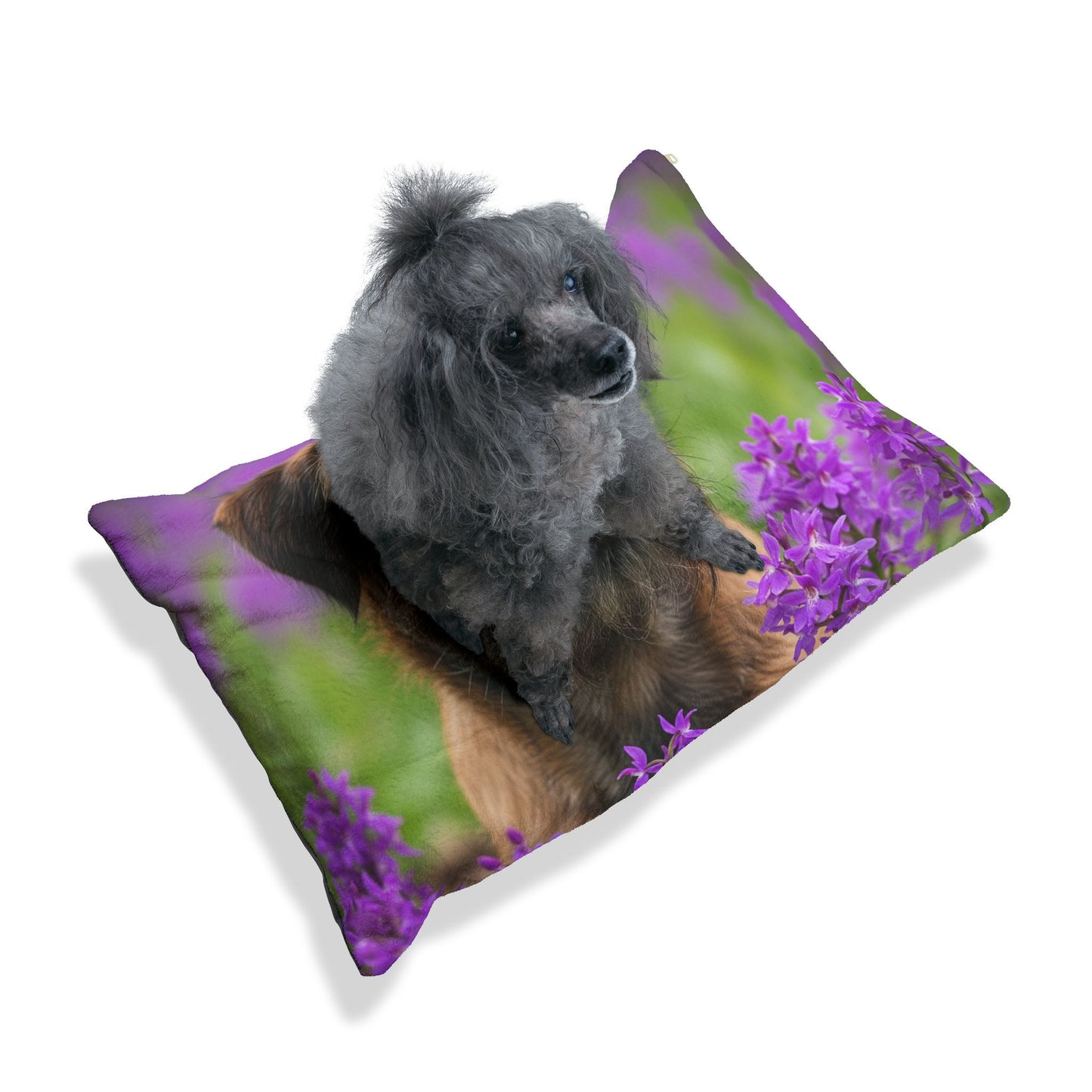 Border Terrier Pet Bed