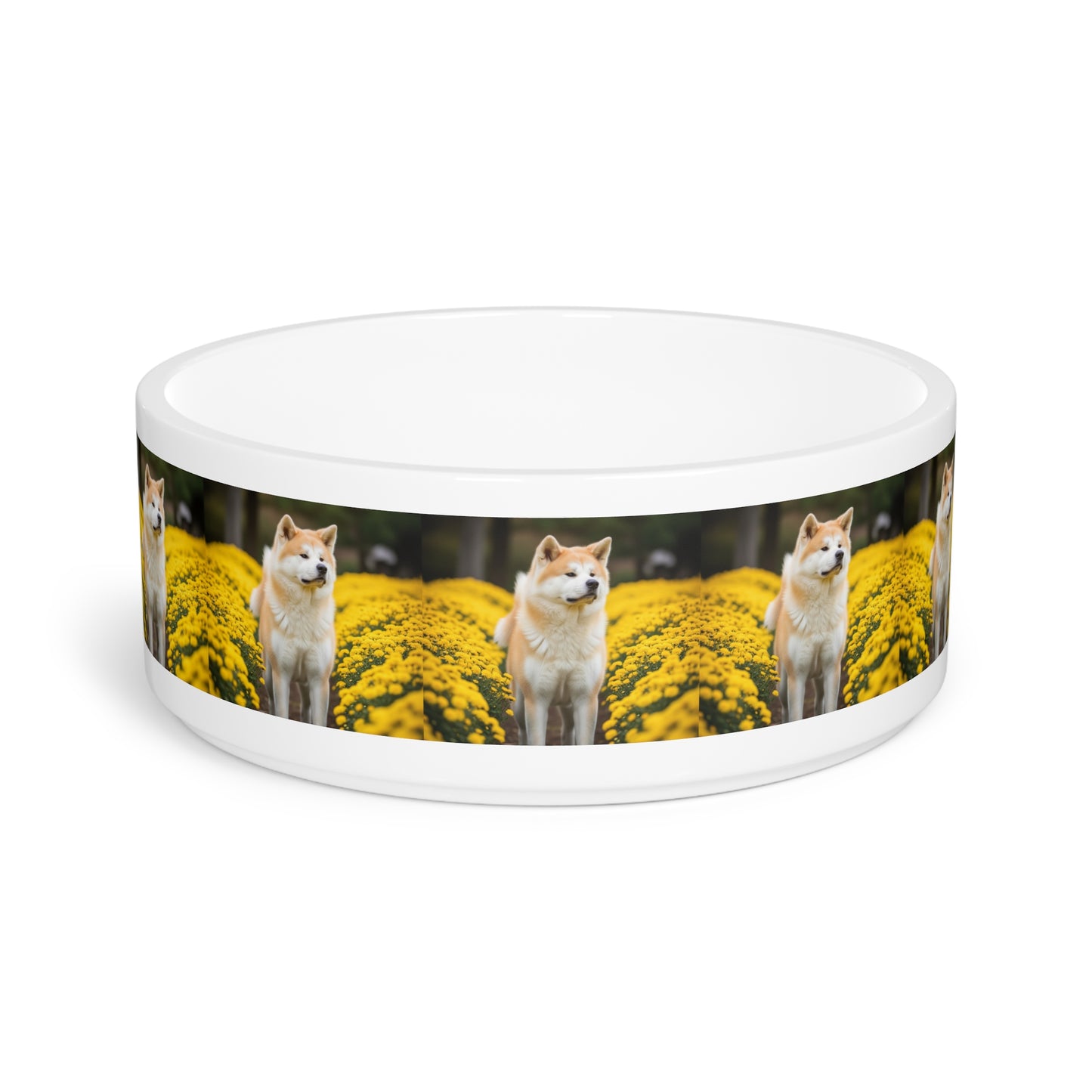 Japanese Akitainu Pet Bowl