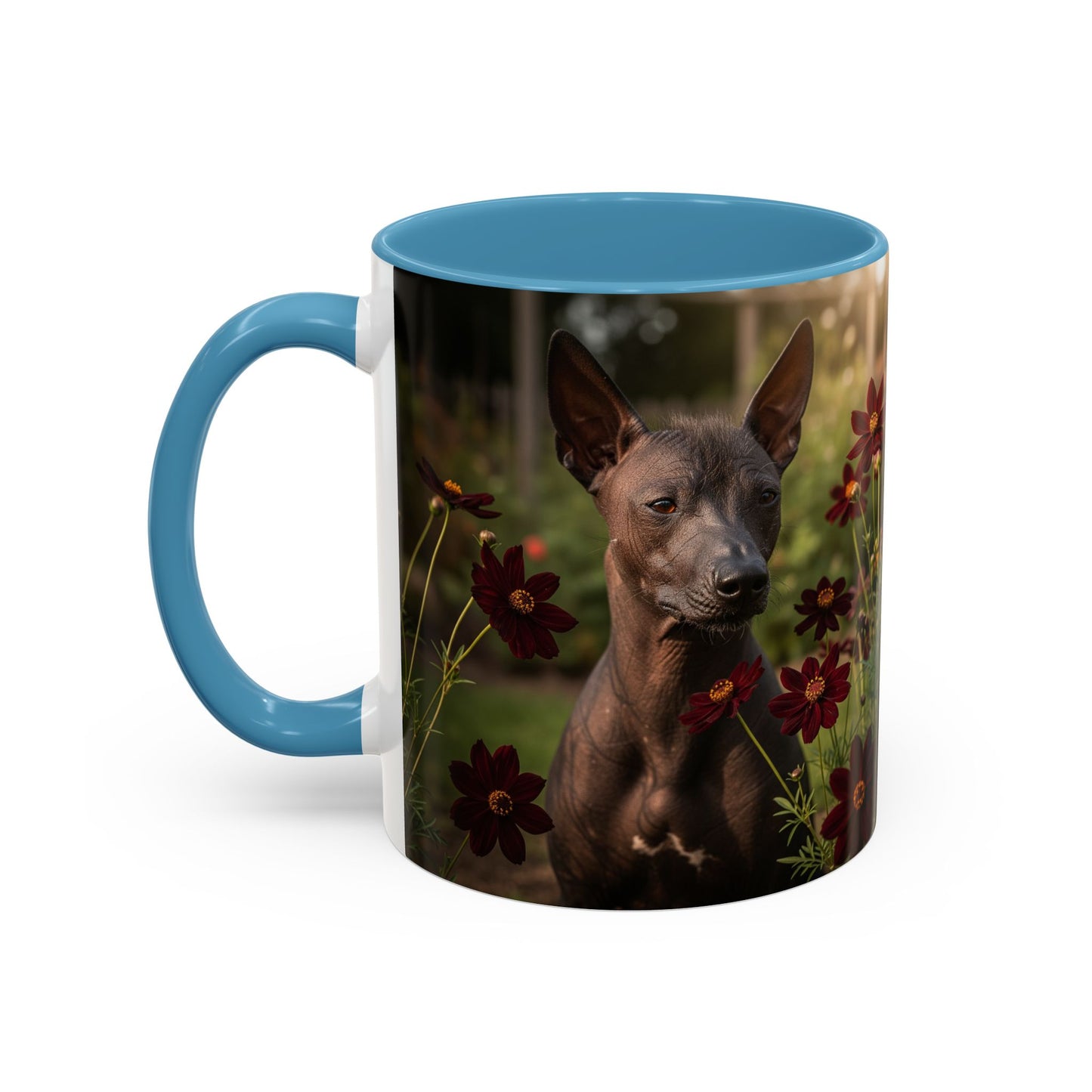 Xoloitzcuintli Accent Coffee Mug - Perfect Gift for Dog Lovers