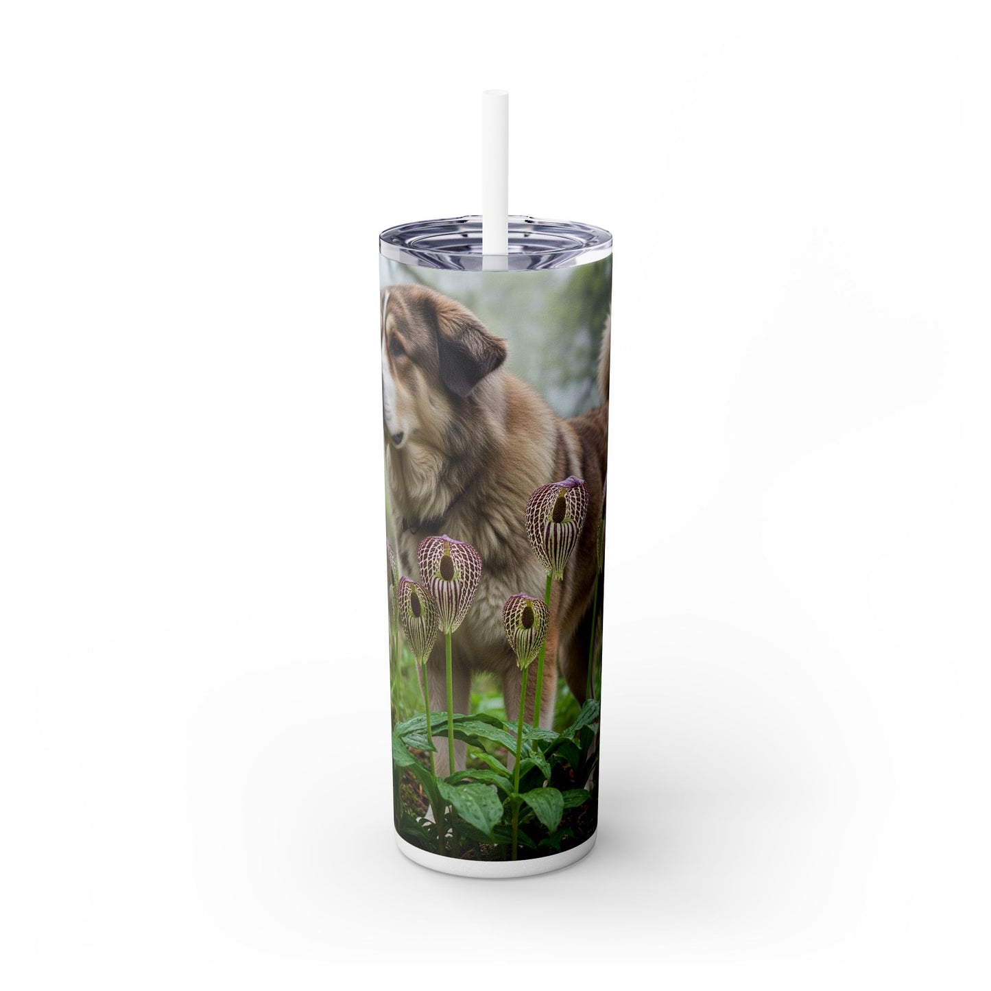 Bakharwal Tumbler with Straw, 20oz
