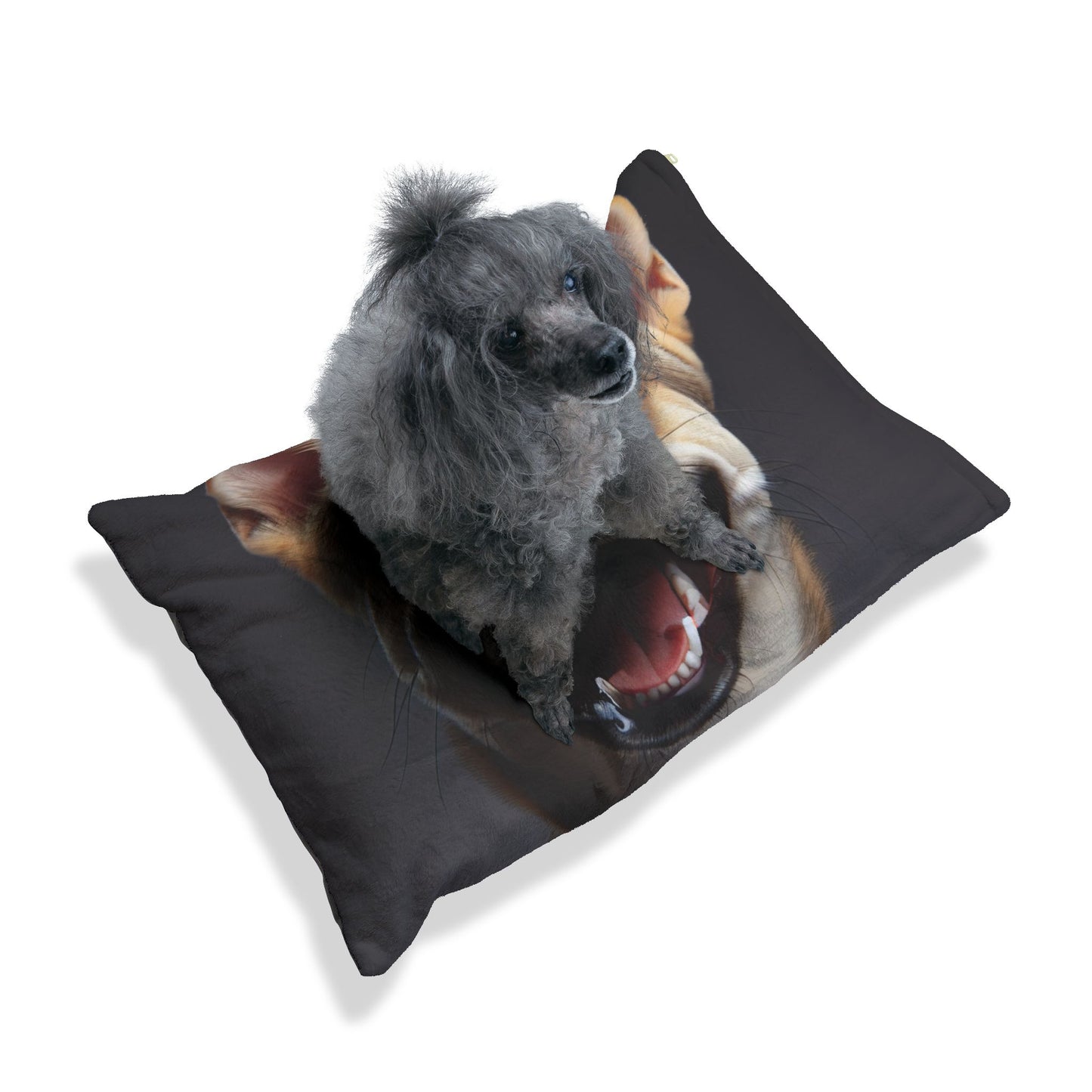 Chippiparai Pet Bed