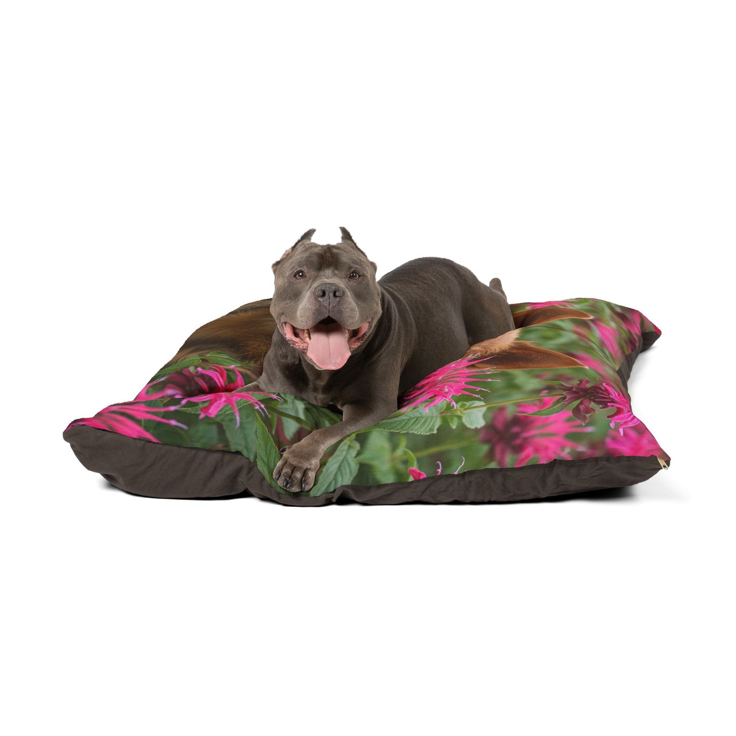 Norwich Terrier Pet Bed