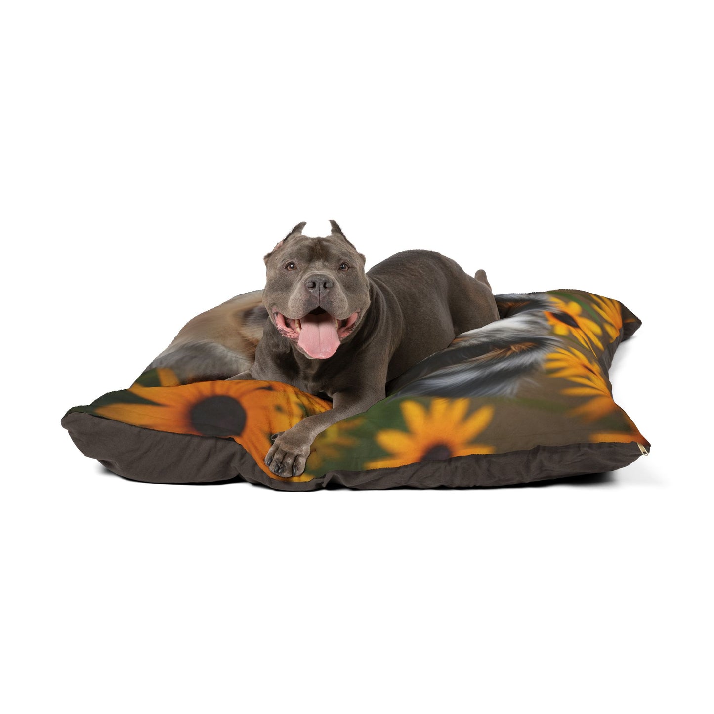 Miniature American Shepherd Pet Bed