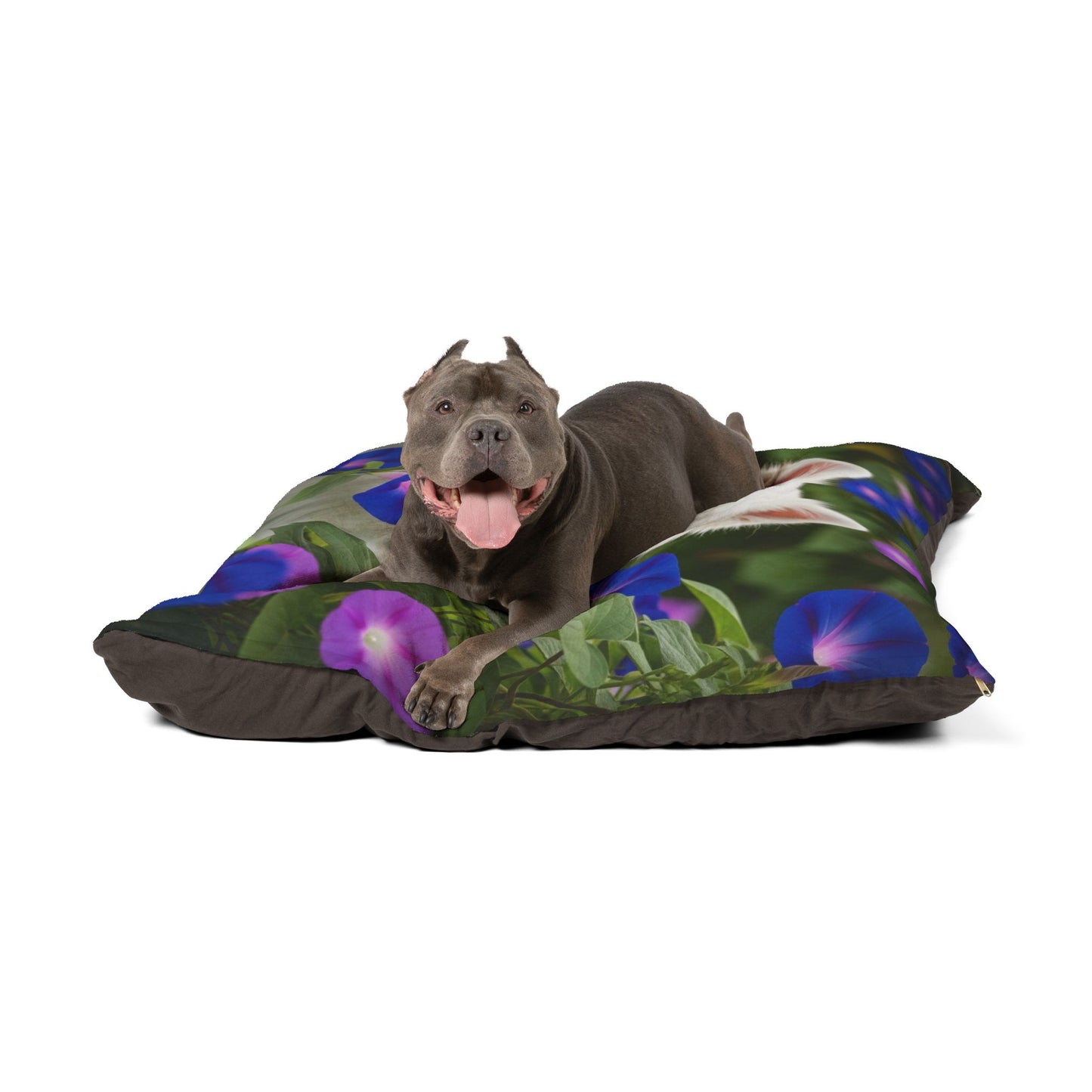 Japanese Spitz Pet Bed