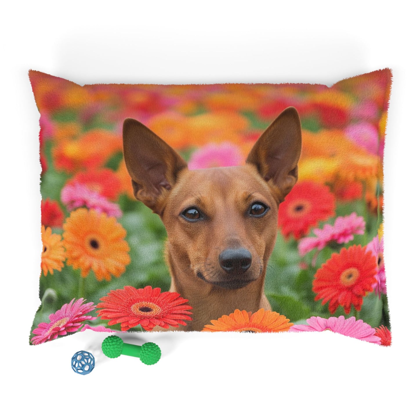 Brazilian Terrier Pet Bed