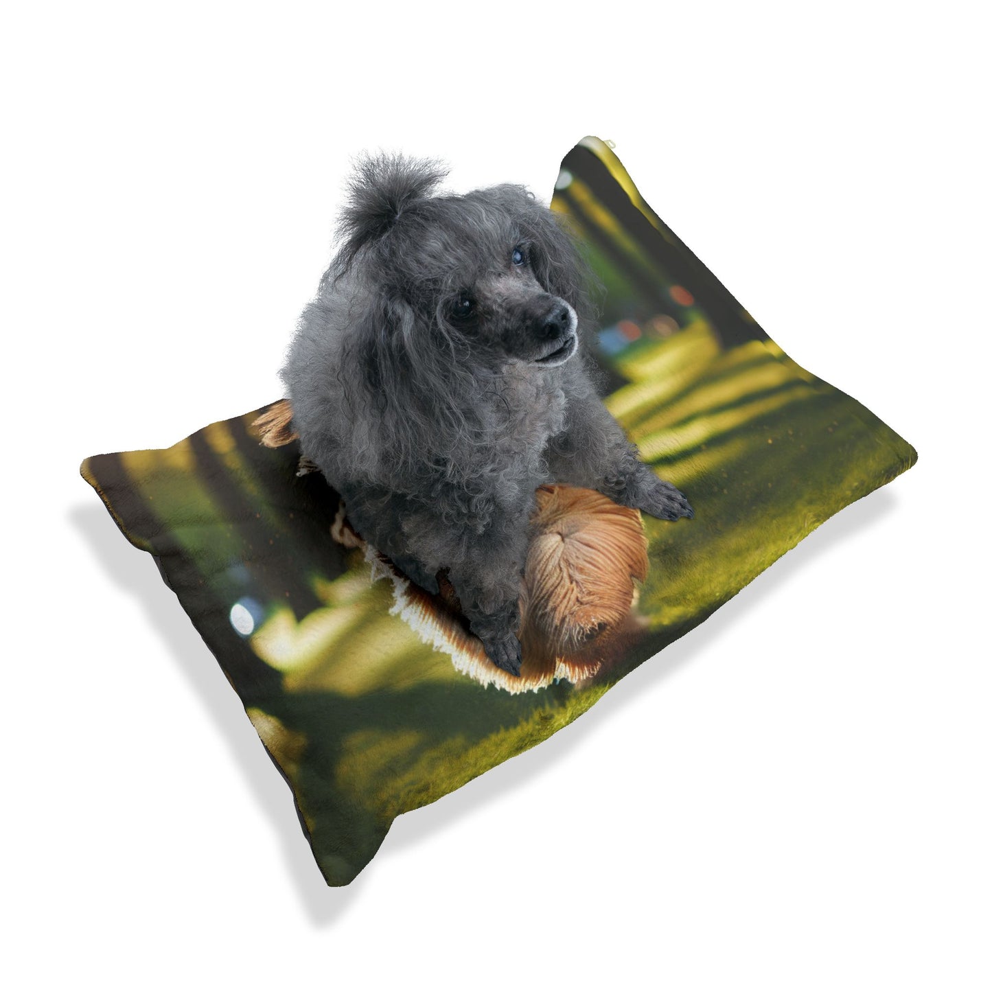Polish Lowland Sheepdog Pet Bed