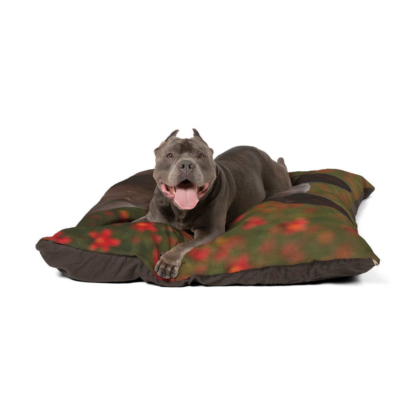 Peruvian Inca Orchid Pet Bed