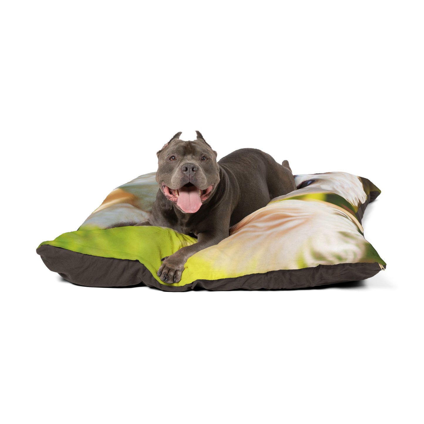 Maltipoo Pet Bed