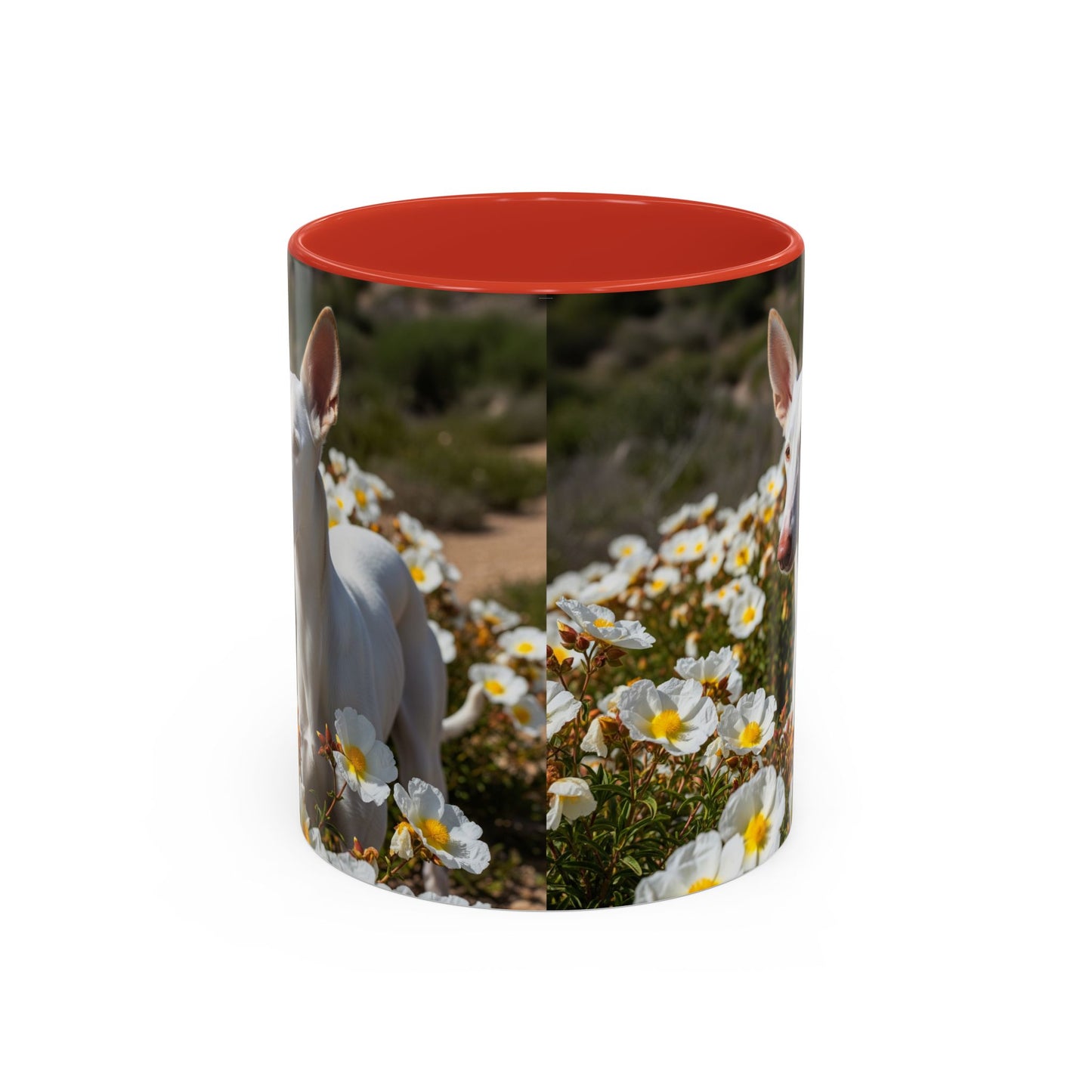 Ibizan Hound Accent Coffee Mug - Perfect Gift for Dog Lovers