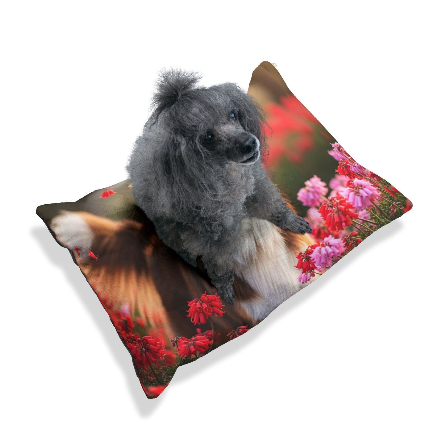 Mini Aussie Pet Bed