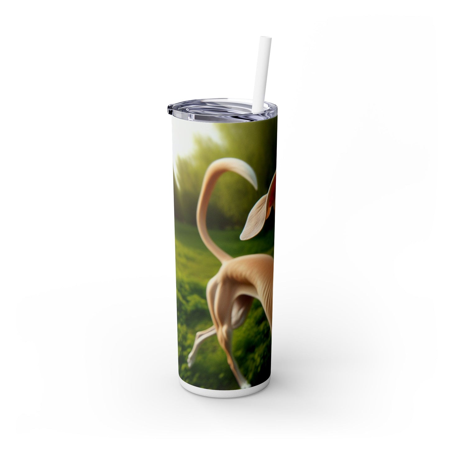 Sloughi Skinny Tumbler with Straw, 20oz