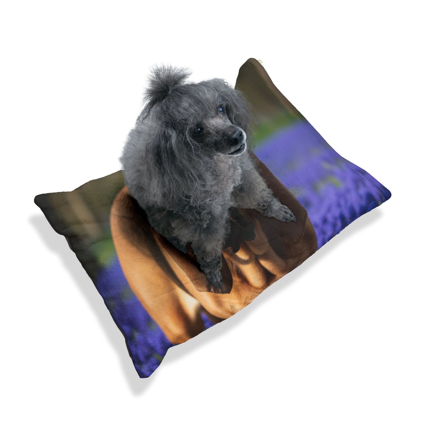 Bloodhound Pet Bed