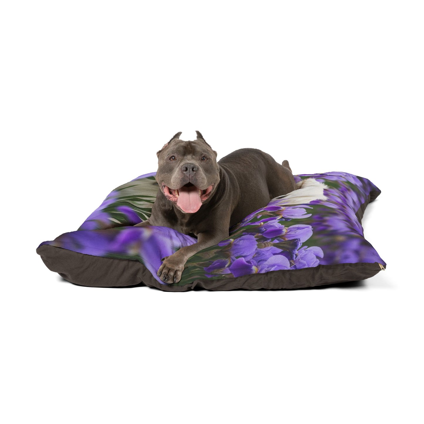 Croatian Sheepdog Pet Bed