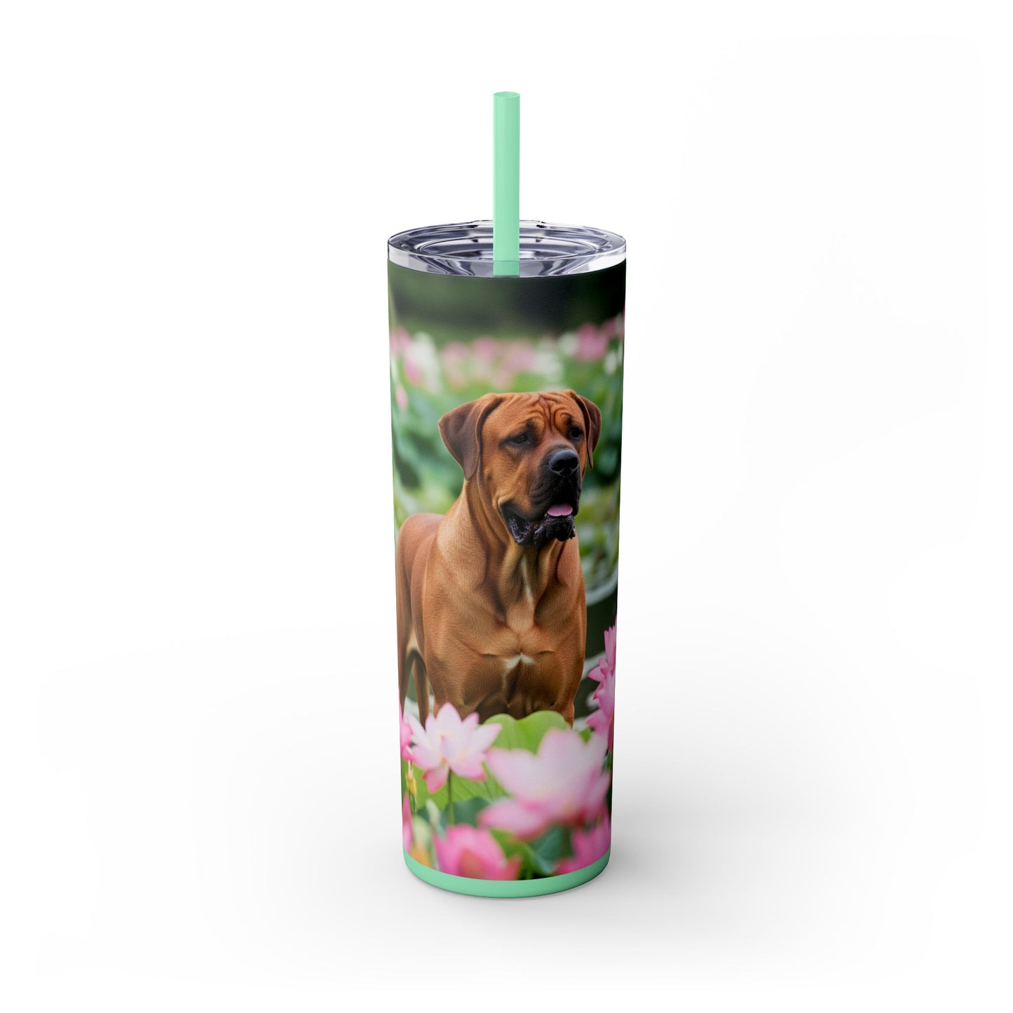Tosa Tumbler with Straw, 20oz