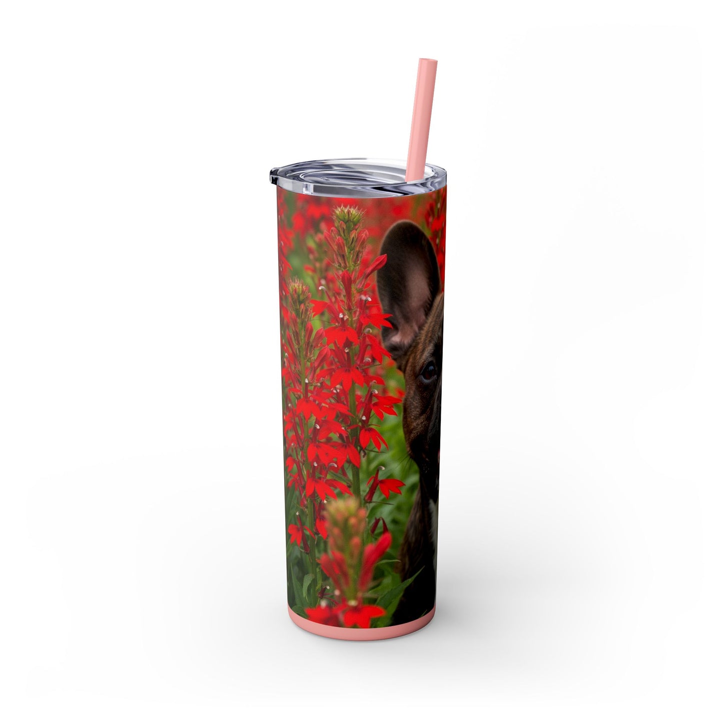 Frenchton Tumbler with Straw, 20oz