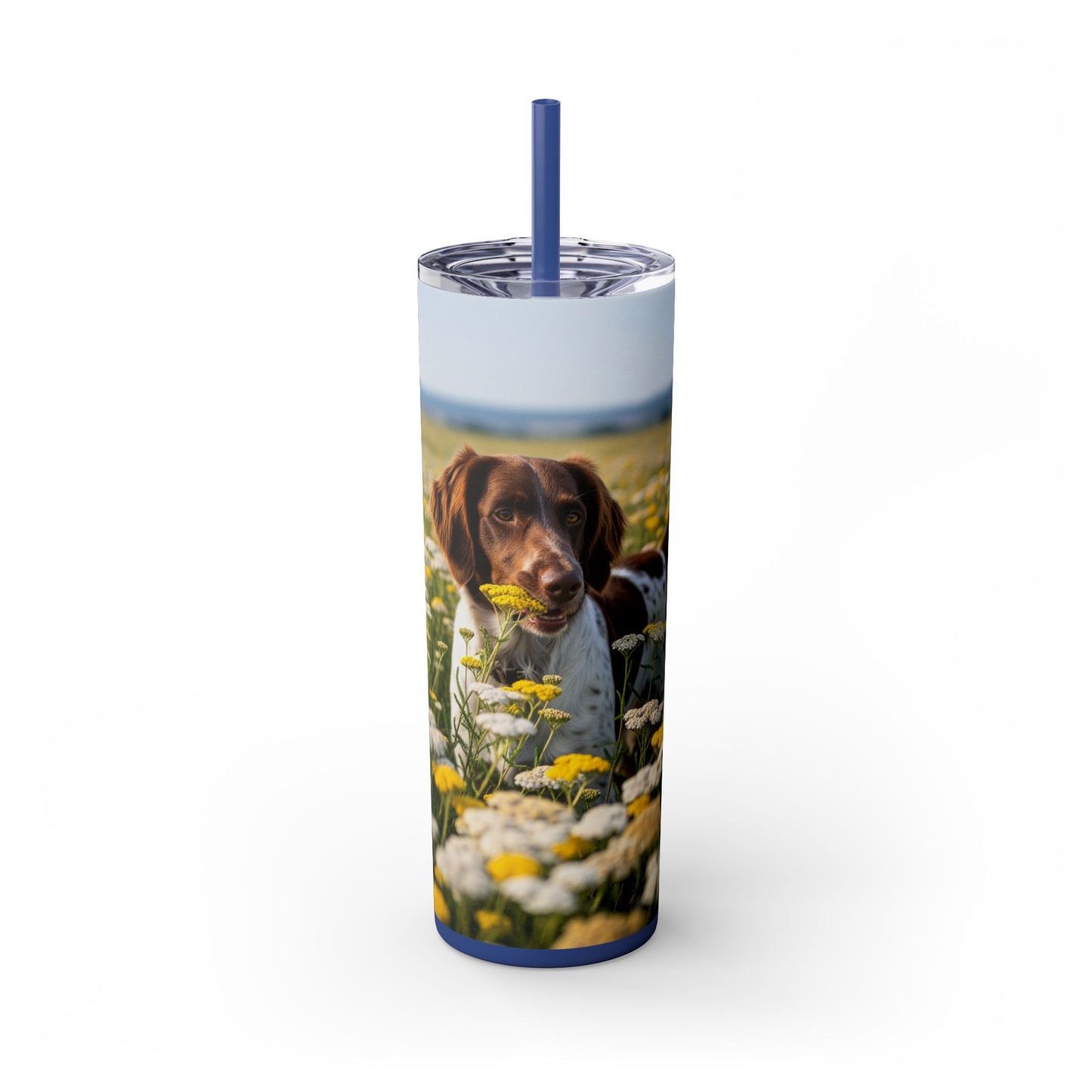 Drentsche Patrijshond Skinny Tumbler with Straw, 20oz