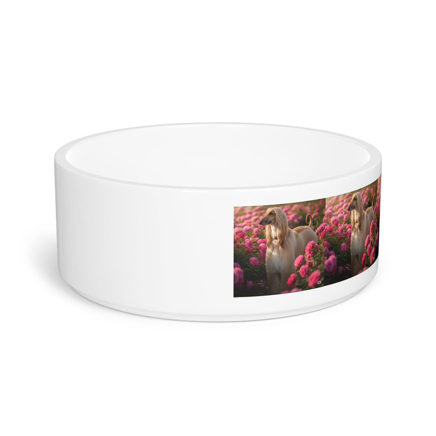 Afghan Hound Pet Bowl