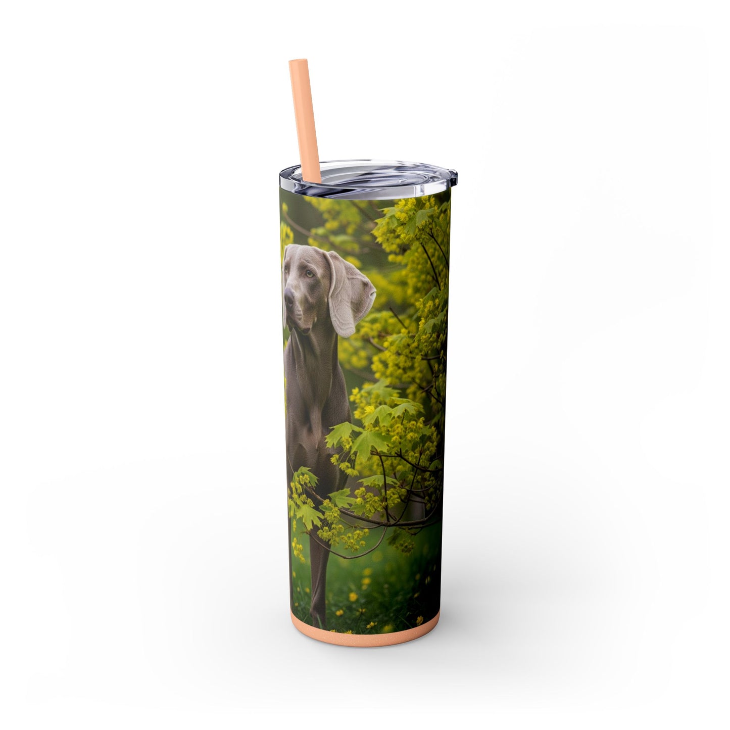 Weimaraner Skinny Tumbler with Straw, 20oz