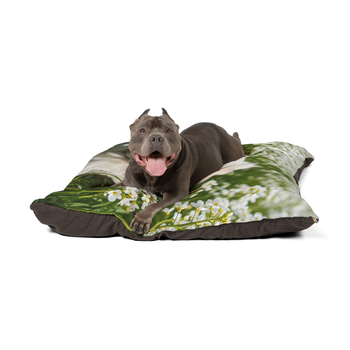 Kromfohrlander Pet Bed